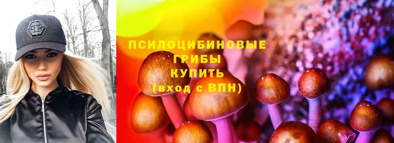 Псилоцибиновые грибы Psilocybe  купить наркоту  Грайворон 